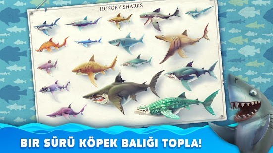Hungry Shark World v5.2.2 Elmas Hileli MOD APK 5