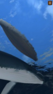 Moby Dick Mega Hileli MOD APK [v1.2.0] 3