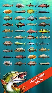 Lets Fish Mega Hileli MOD APK [v6.1.1] 4