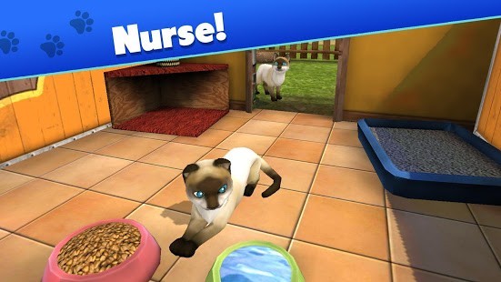 Pet World Para Hileli MOD APK [v2.3.4177] 4