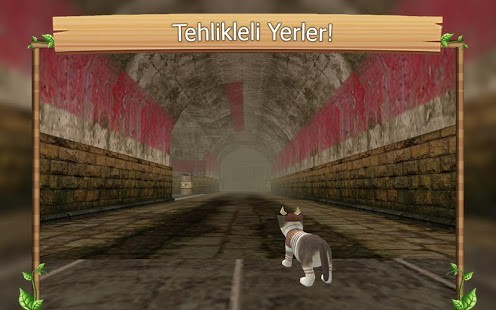 Çevrimiçi Kedi Simülatörü Para Hileli MOD APK [v200] 1