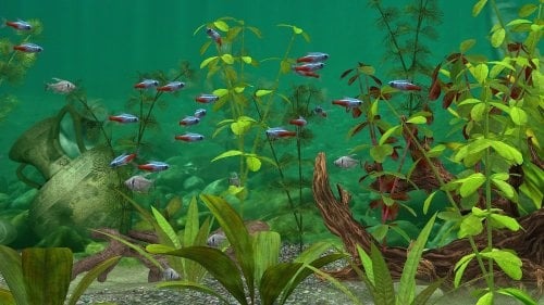 Fish Farm 3 Aquarium Para Hileli MOD APK [v1.18.6.7180] 5